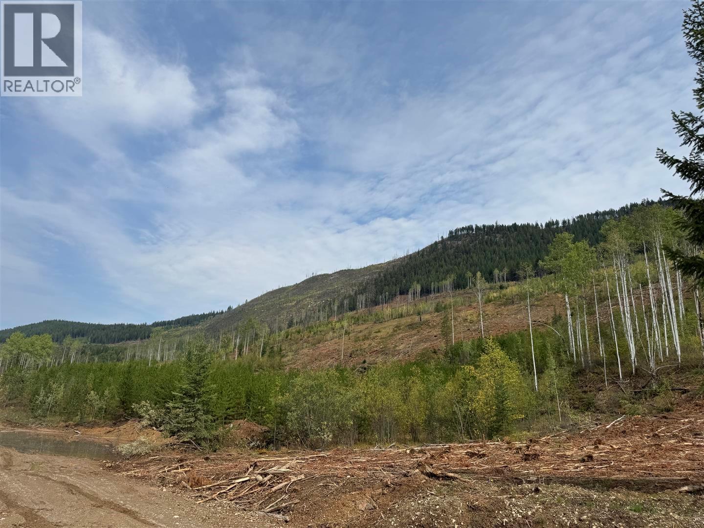Dl 10766 Giant Mine Road, Spillimacheen, British Columbia  V0A 1P0 - Photo 20 - 10363579