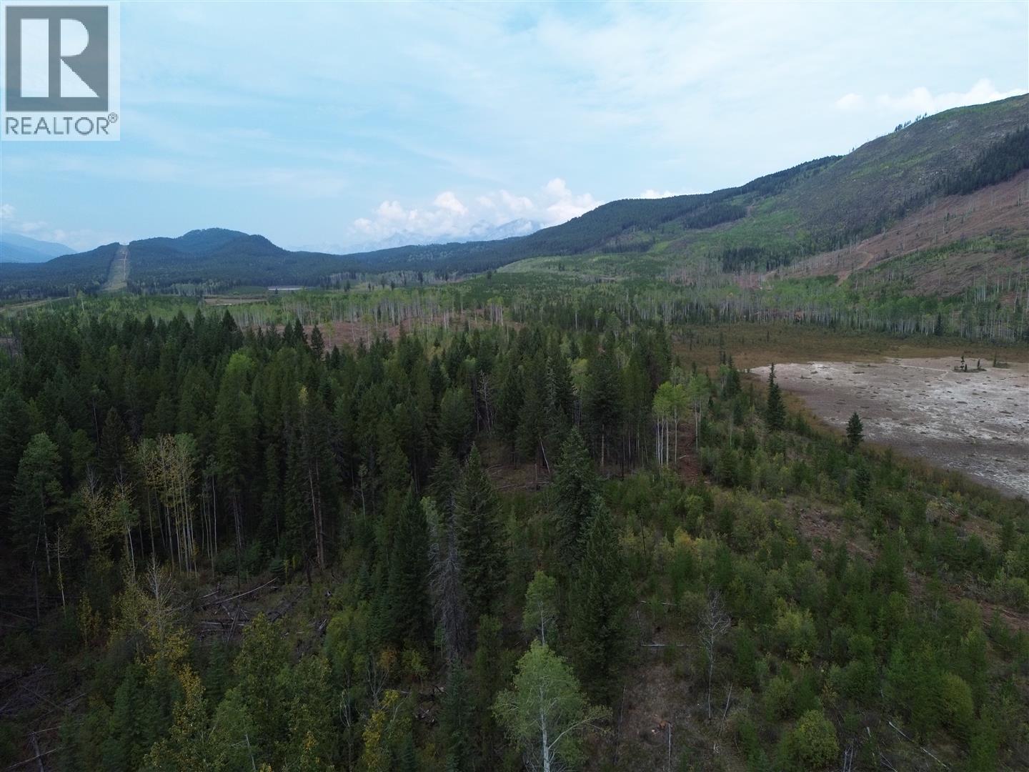 Dl 10766 Giant Mine Road, Spillimacheen, British Columbia  V0A 1P0 - Photo 24 - 10363579