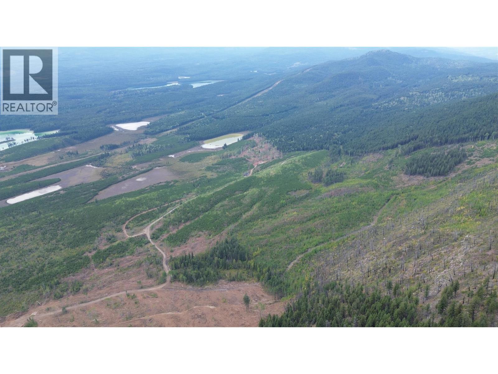 Dl 10766 Giant Mine Road, Spillimacheen, British Columbia  V0A 1P0 - Photo 10 - 10363579