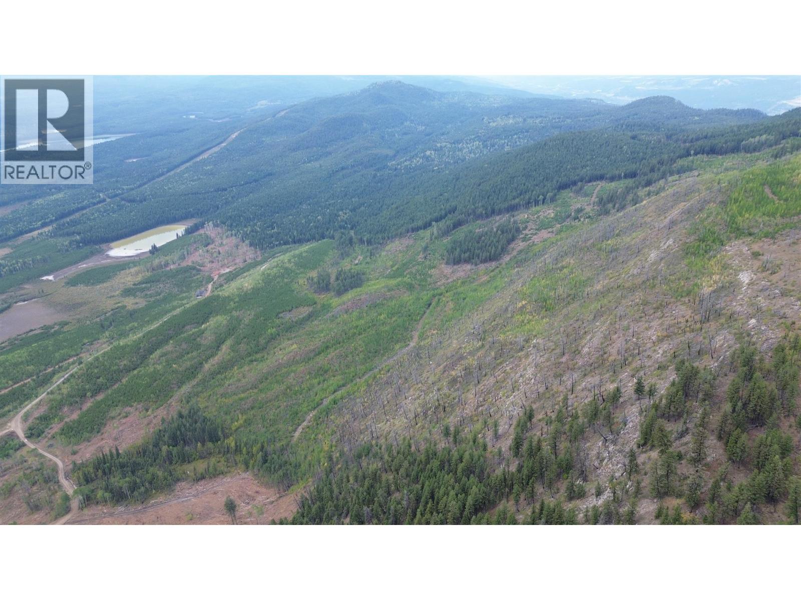 Dl 10766 Giant Mine Road, Spillimacheen, British Columbia  V0A 1P0 - Photo 12 - 10363579