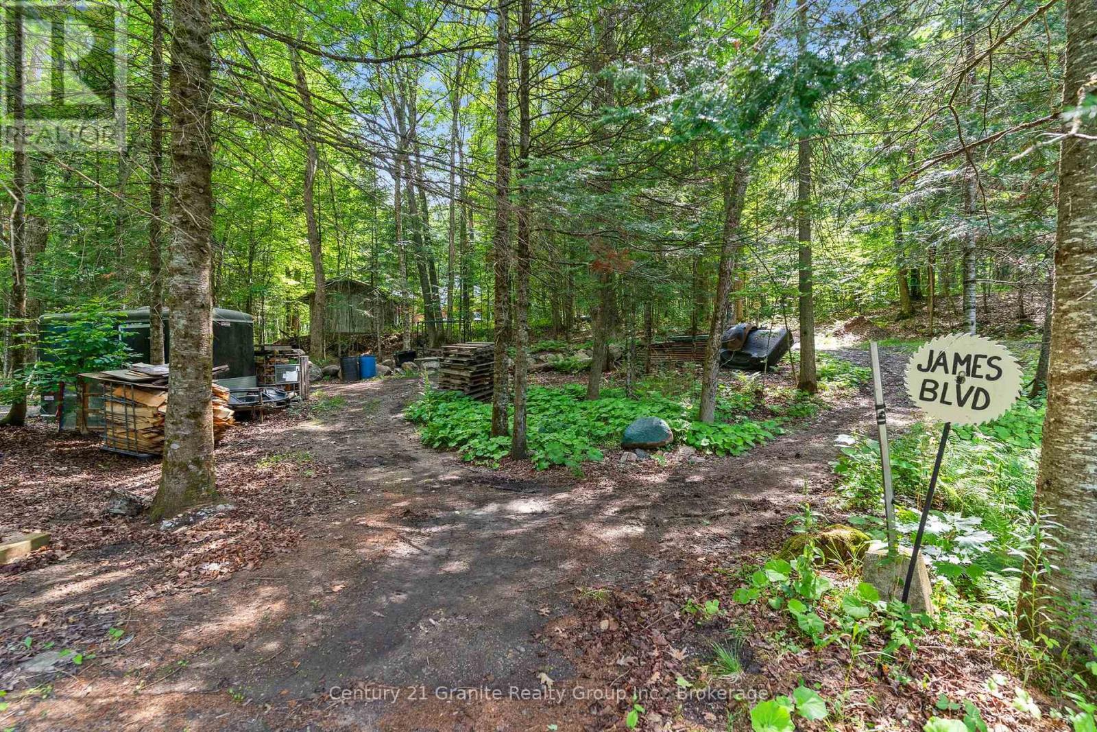 1291 Horseshoe Lake Road, Minden Hills, Ontario  K0M 2K0 - Photo 45 - X13617960