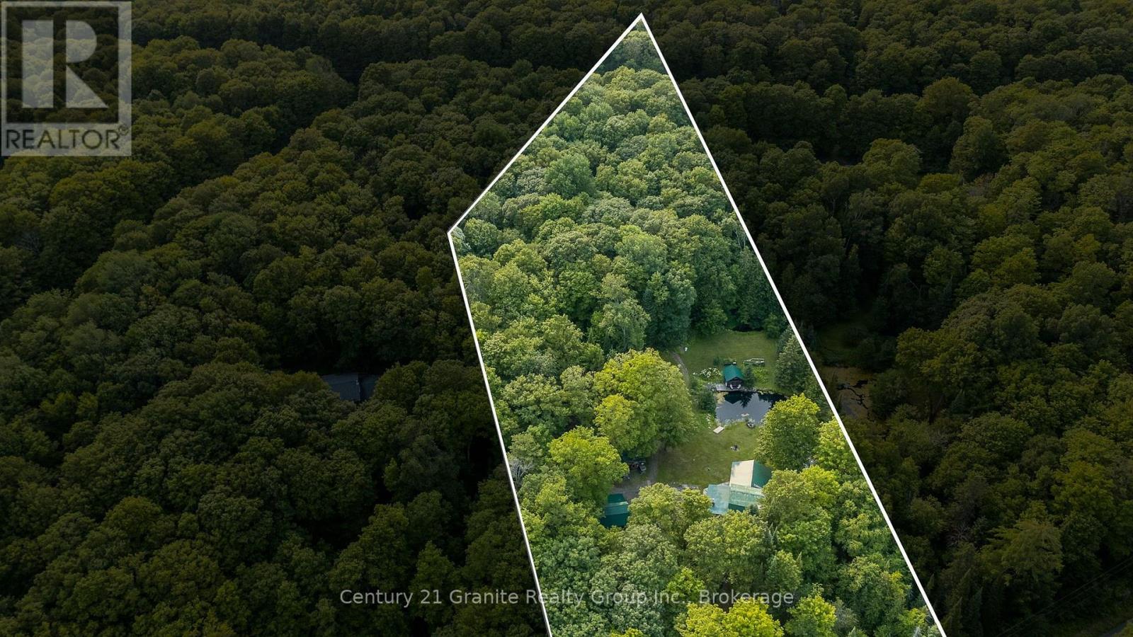 1291 Horseshoe Lake Road, Minden Hills, Ontario  K0M 2K0 - Photo 6 - X13617960