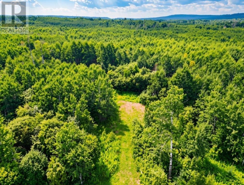 161 Valley Rd, Dorion, Ontario  P0T 1K0 - Photo 1 - TB2602202