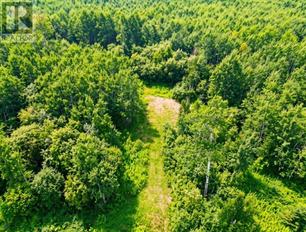 161 Valley Rd, Dorion, Ontario  P0T 1K0 - Photo 10 - TB2602202