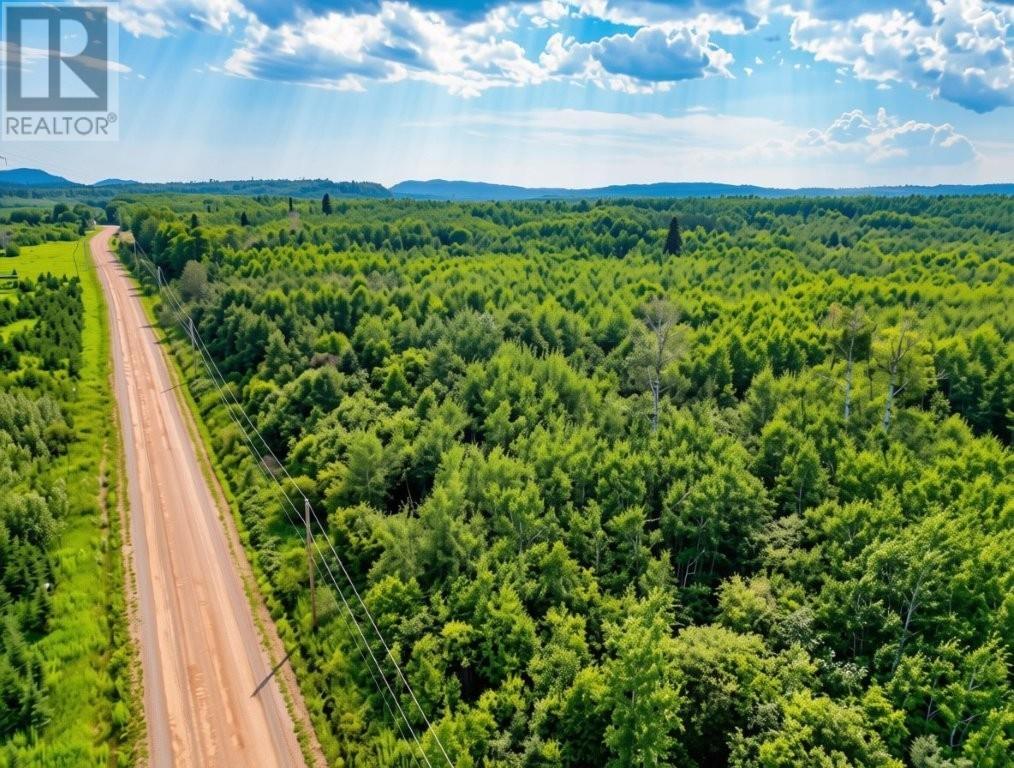 161 Valley Rd, Dorion, Ontario  P0T 1K0 - Photo 12 - TB2602202