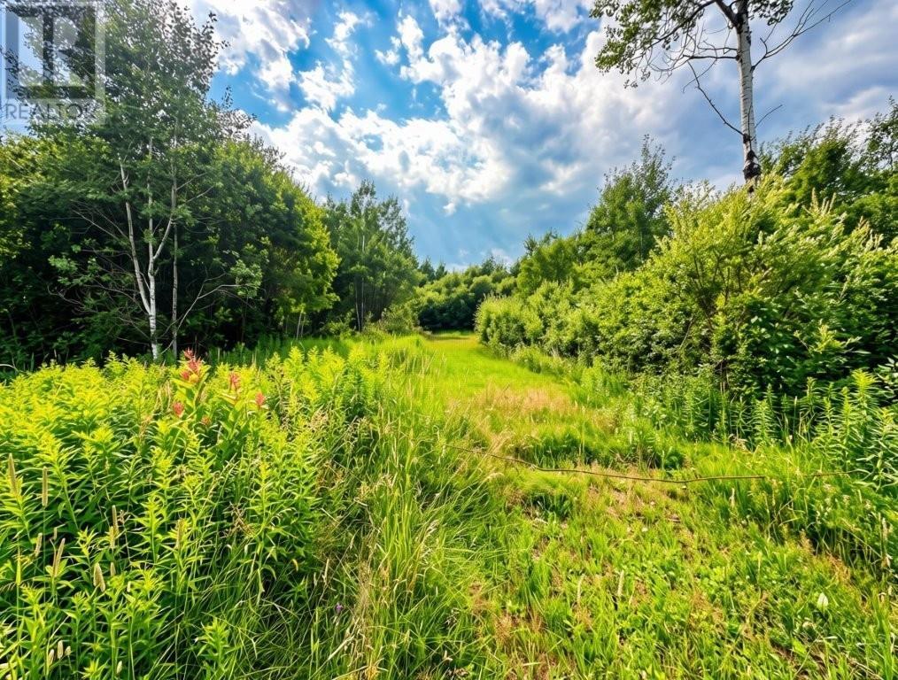 161 Valley Rd, Dorion, Ontario  P0T 1K0 - Photo 14 - TB2602202