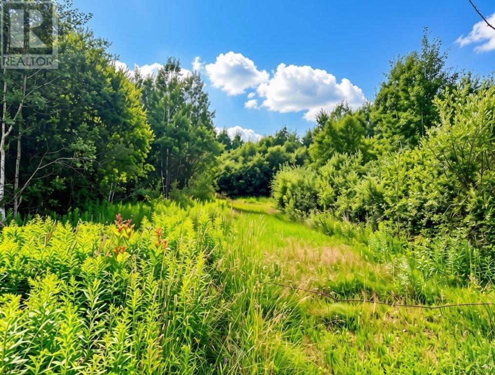 161 Valley Rd, Dorion, Ontario  P0T 1K0 - Photo 15 - TB2602202
