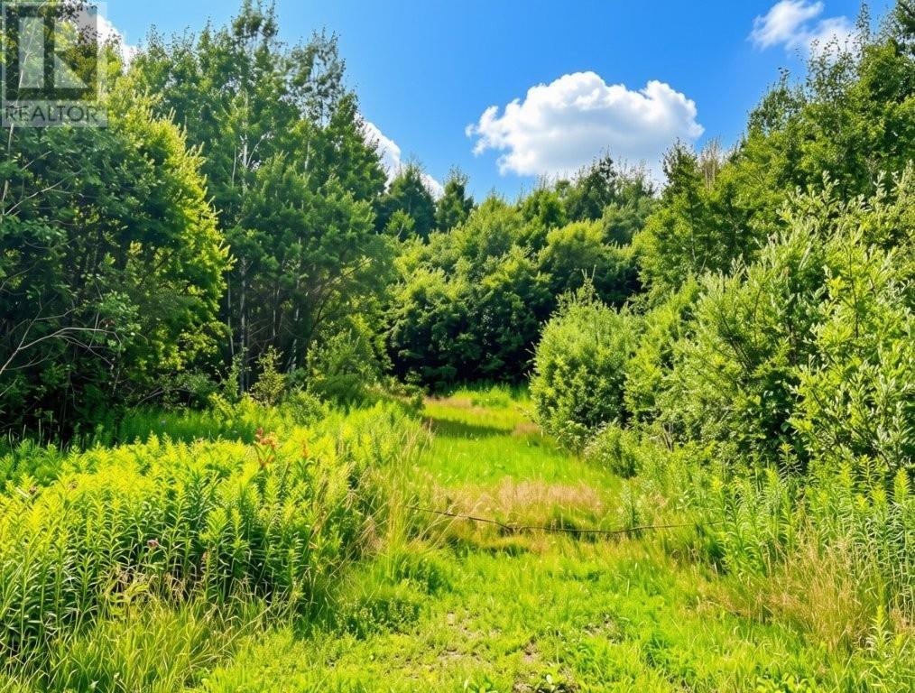 161 Valley Rd, Dorion, Ontario  P0T 1K0 - Photo 16 - TB2602202