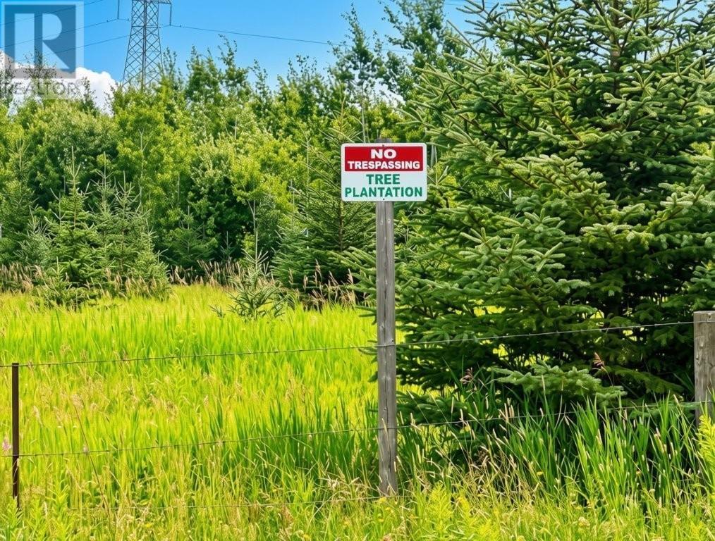 161 Valley Rd, Dorion, Ontario  P0T 1K0 - Photo 18 - TB2602202