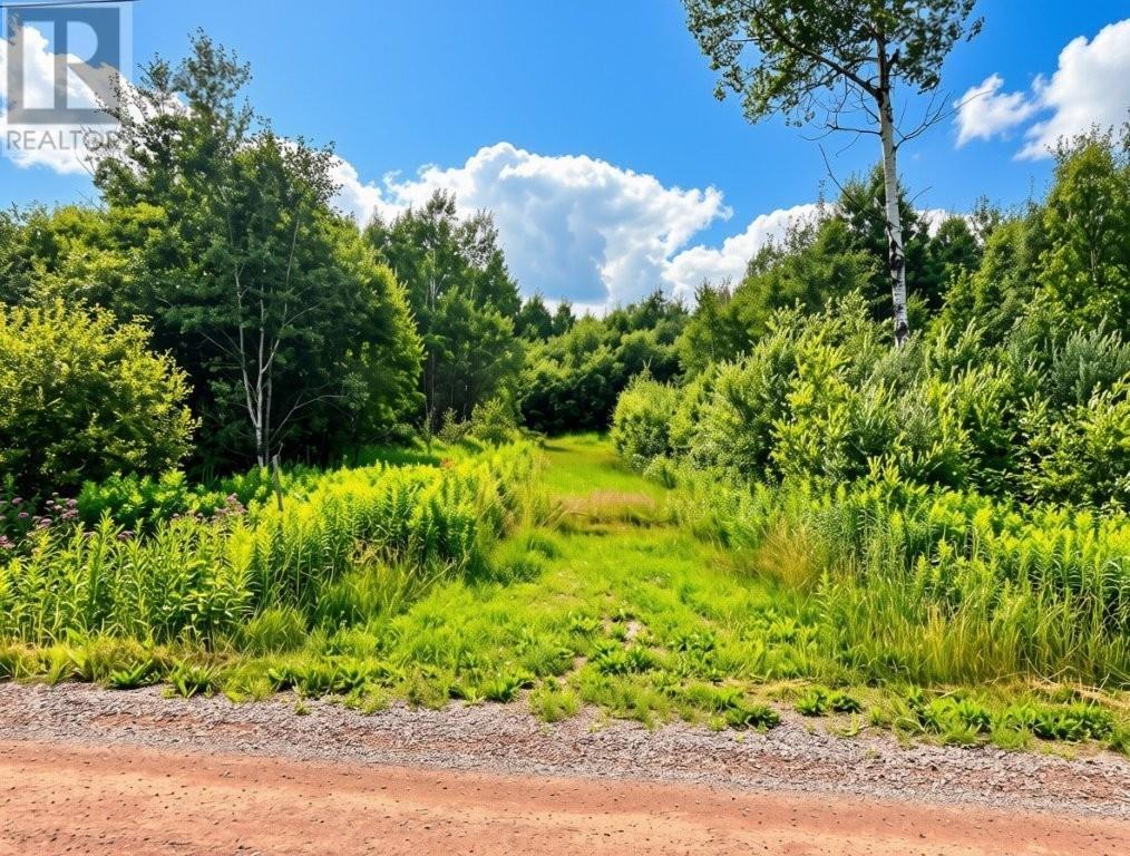161 Valley Rd, Dorion, Ontario  P0T 1K0 - Photo 19 - TB2602202