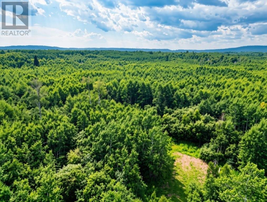 161 Valley Rd, Dorion, Ontario  P0T 1K0 - Photo 3 - TB2602202