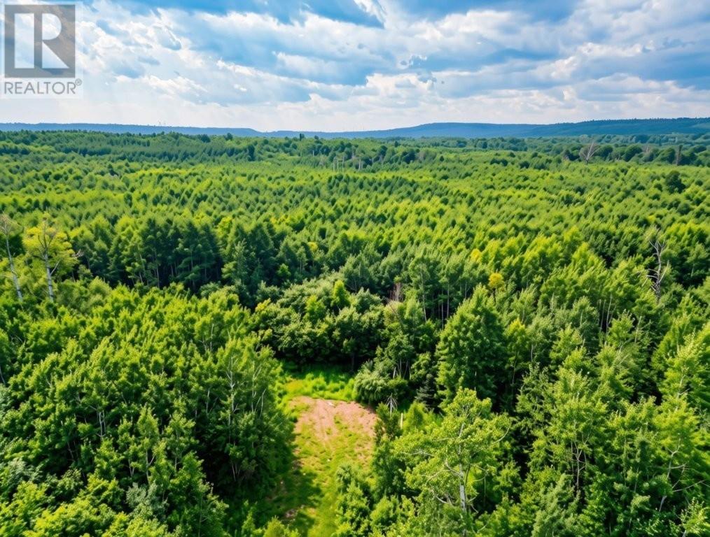 161 Valley Rd, Dorion, Ontario  P0T 1K0 - Photo 4 - TB2602202