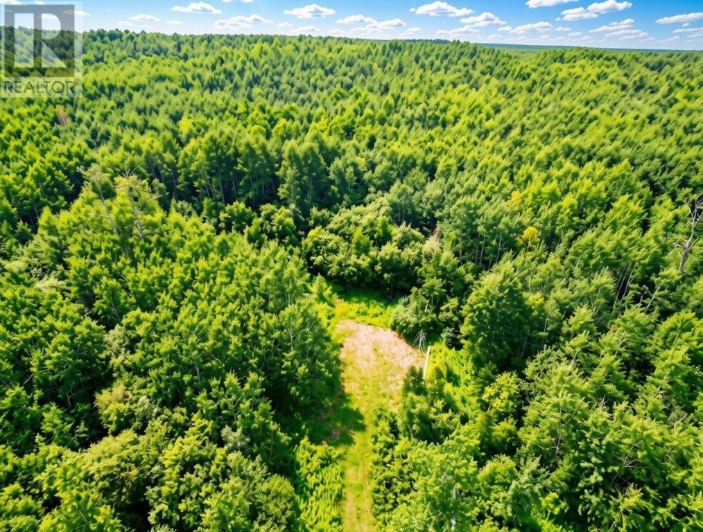 161 Valley Rd, Dorion, Ontario  P0T 1K0 - Photo 6 - TB2602202