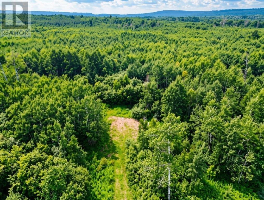 161 Valley Rd, Dorion, Ontario  P0T 1K0 - Photo 8 - TB2602202