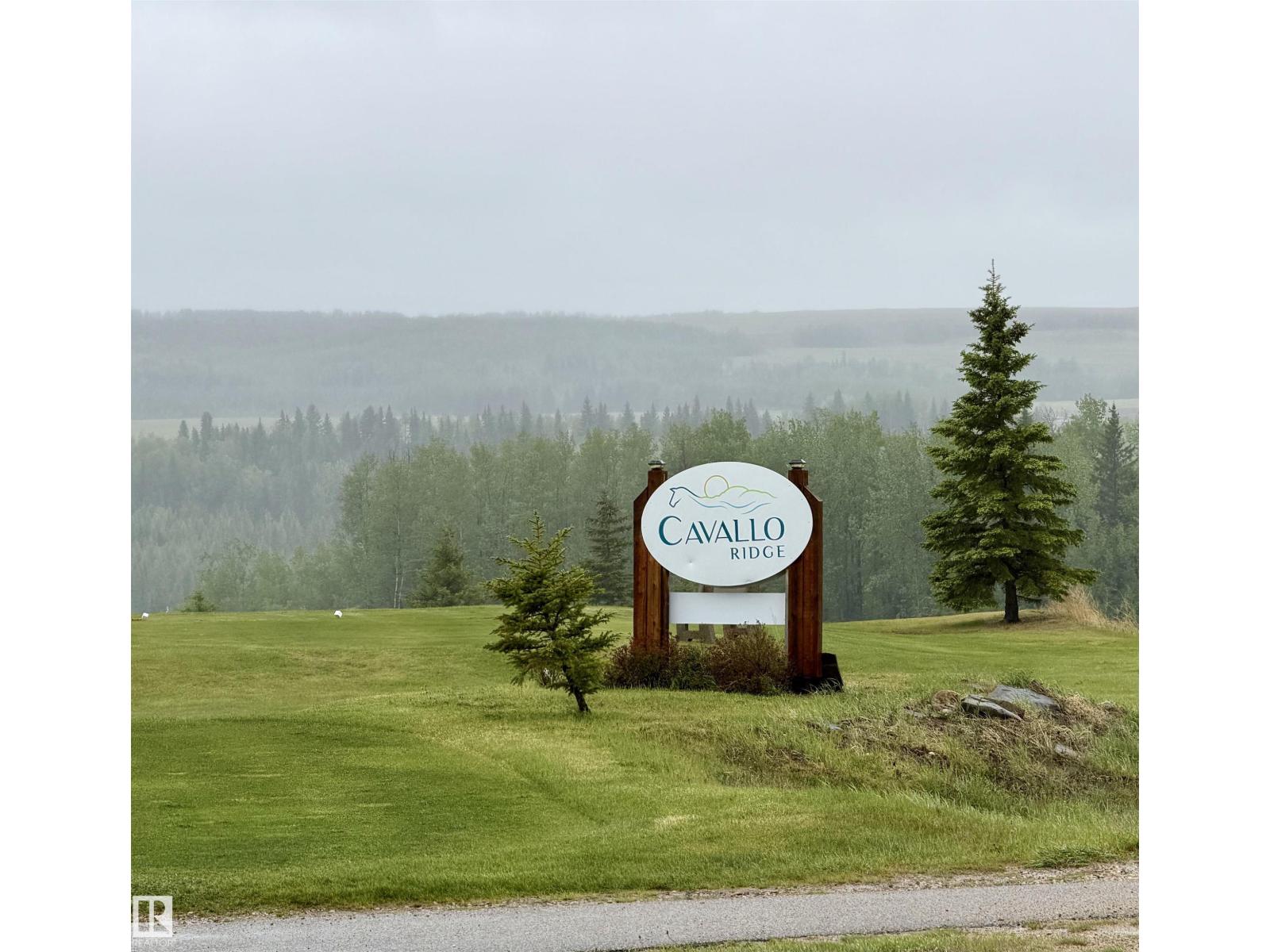 #134 454029 Rge Road 11, Rural Wetaskiwin County, Alberta  T0C 2V0 - Photo 35 - E4491563