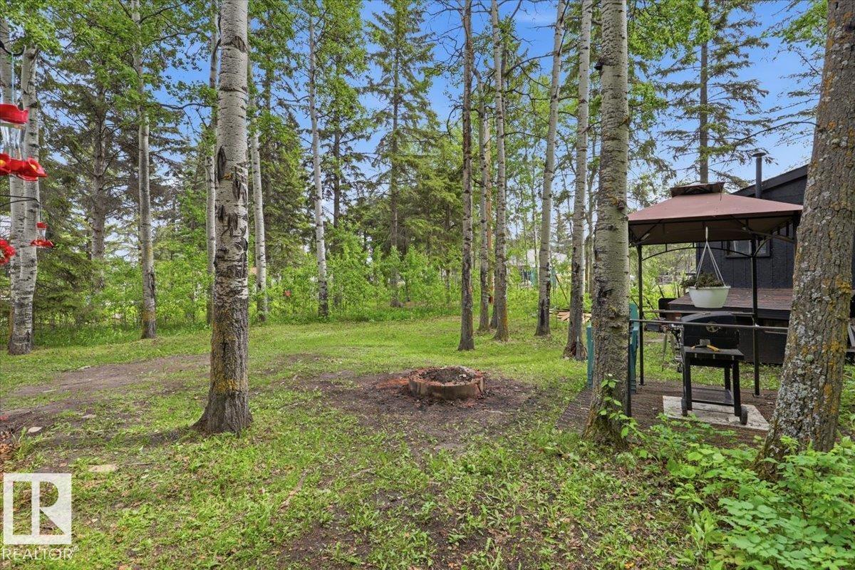216 2nd Street Norris Beach, Rural Wetaskiwin County, Alberta  T0C 2V0 - Photo 22 - E4492756