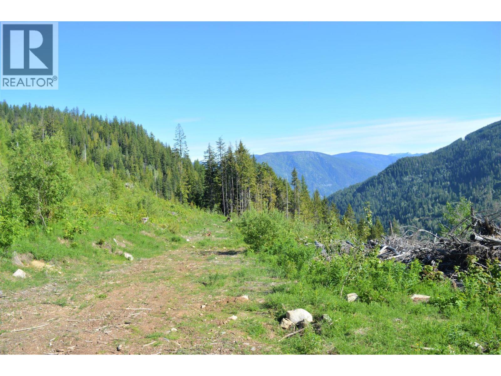 Lot 2 Highway 6, Nelson, British Columbia  V1L 5J5 - Photo 13 - 10396555