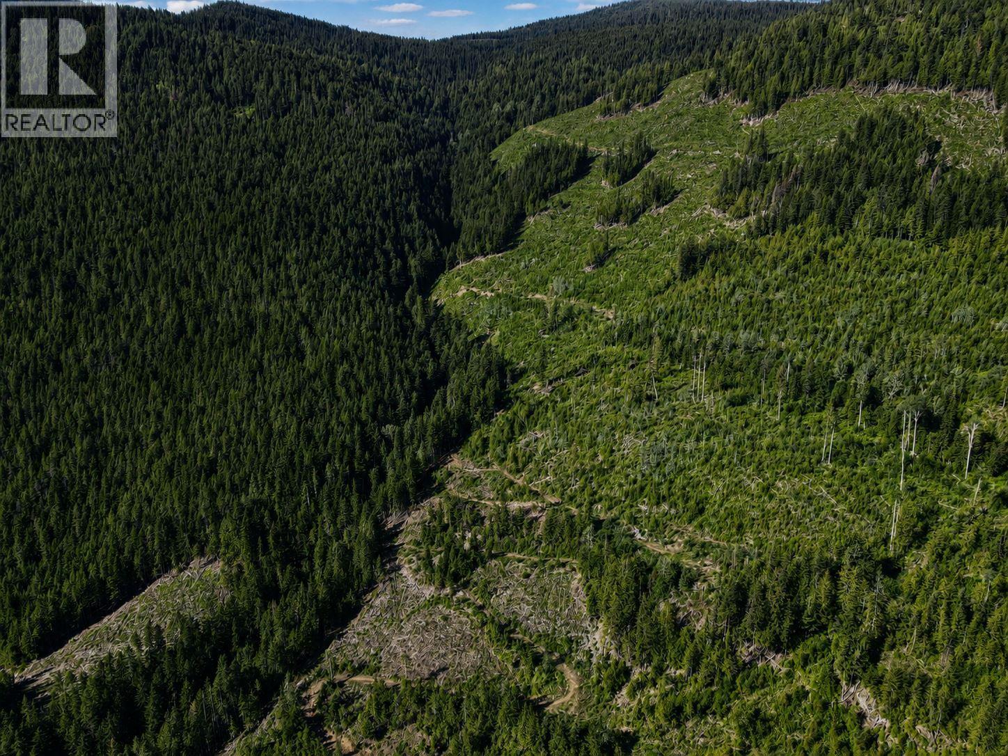 Lot 2 Highway 6, Nelson, British Columbia  V1L 5J5 - Photo 9 - 10396555