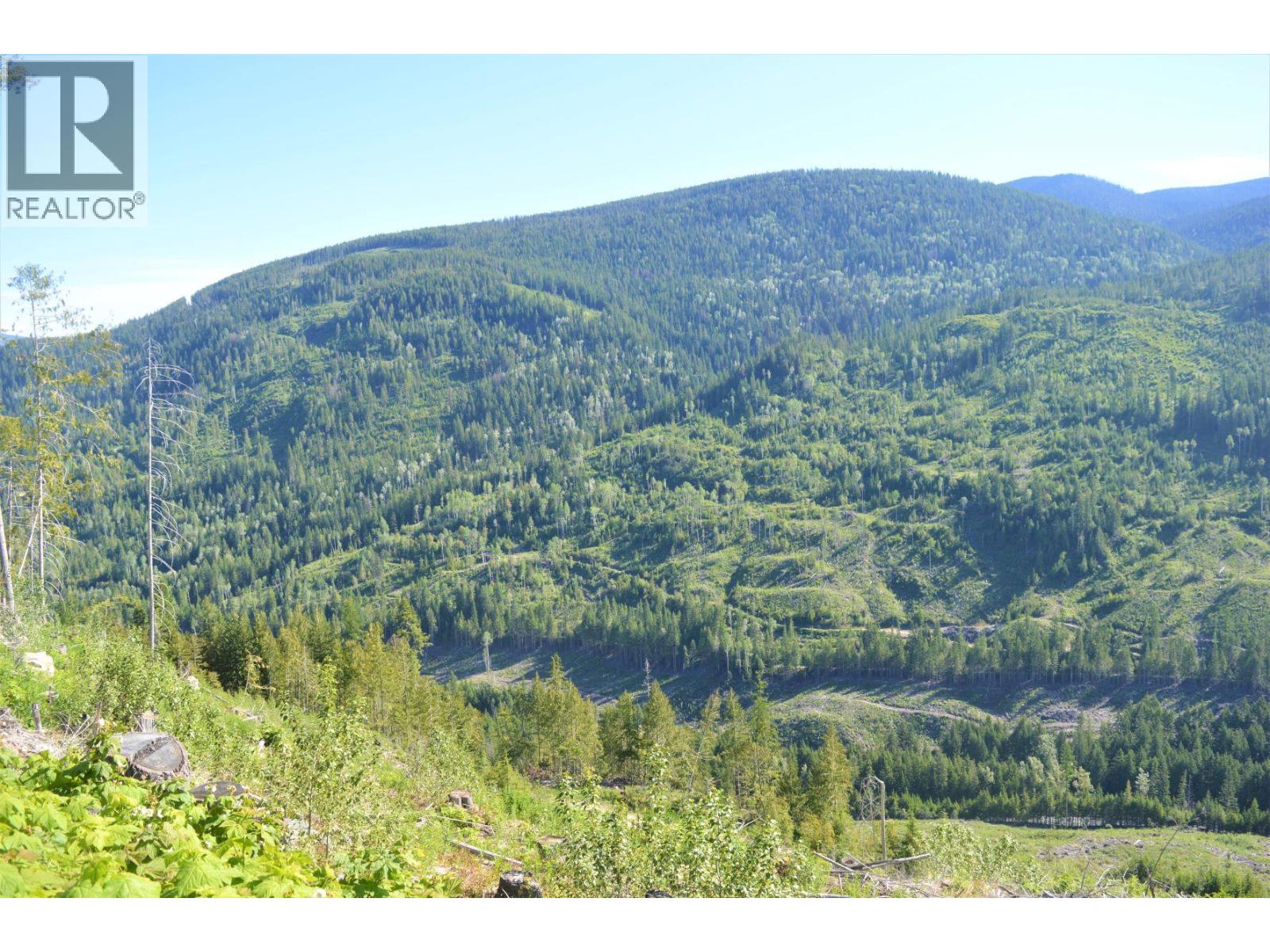 Lot 2 Highway 6, Nelson, British Columbia  V1L 5J5 - Photo 15 - 10396555