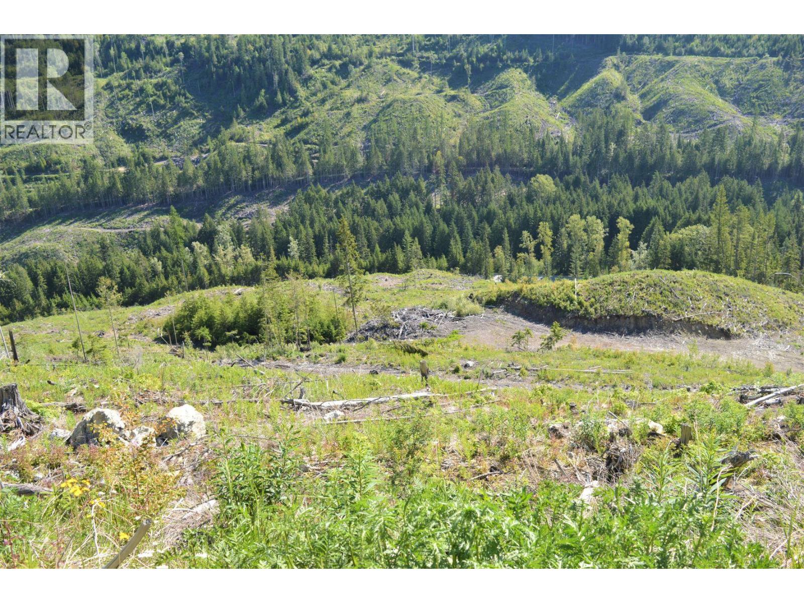 Lot 2 Highway 6, Nelson, British Columbia  V1L 5J5 - Photo 19 - 10396555