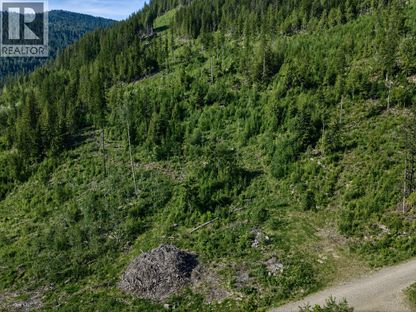 Lot 2 Highway 6, Nelson, British Columbia  V1L 5J5 - Photo 3 - 10396555