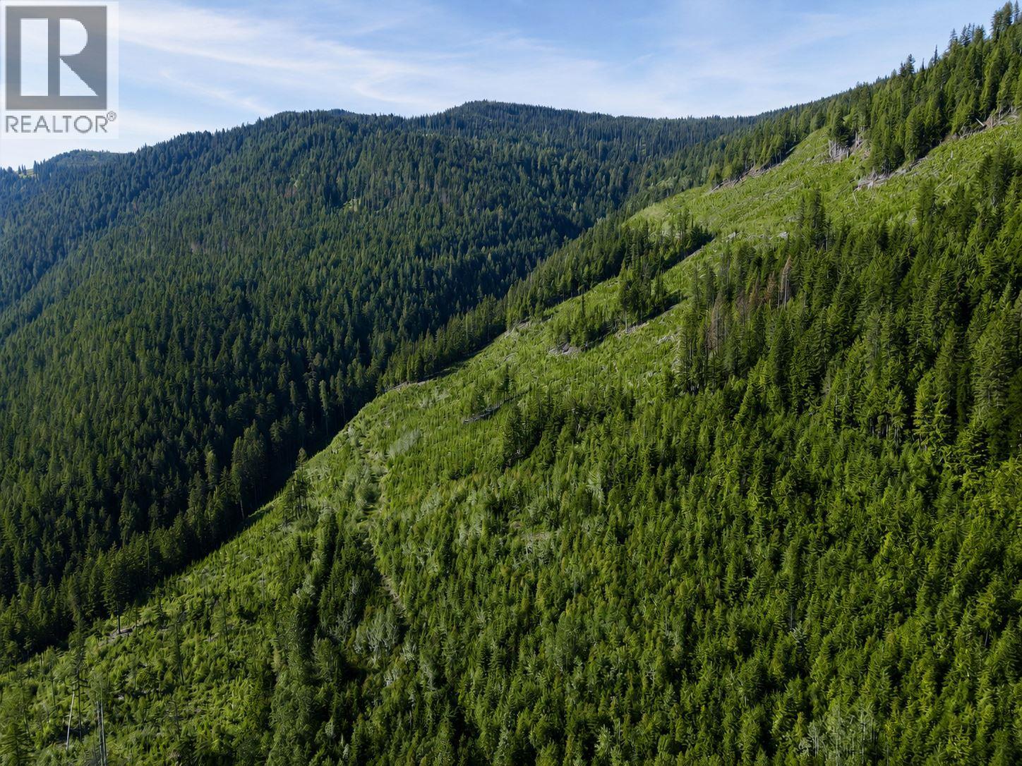 Lot 2 Highway 6, Nelson, British Columbia  V1L 5J5 - Photo 7 - 10396555