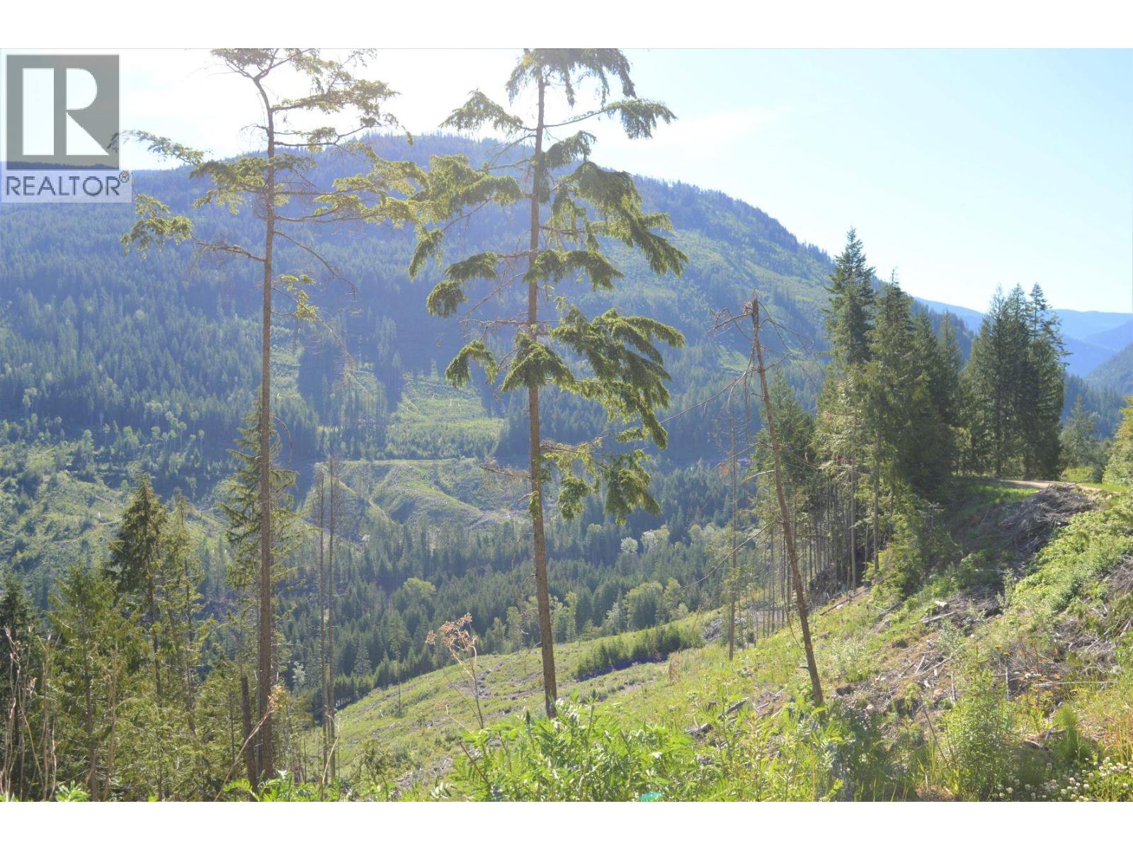Lot 2 Highway 6, Nelson, British Columbia  V1L 5J5 - Photo 17 - 10396555