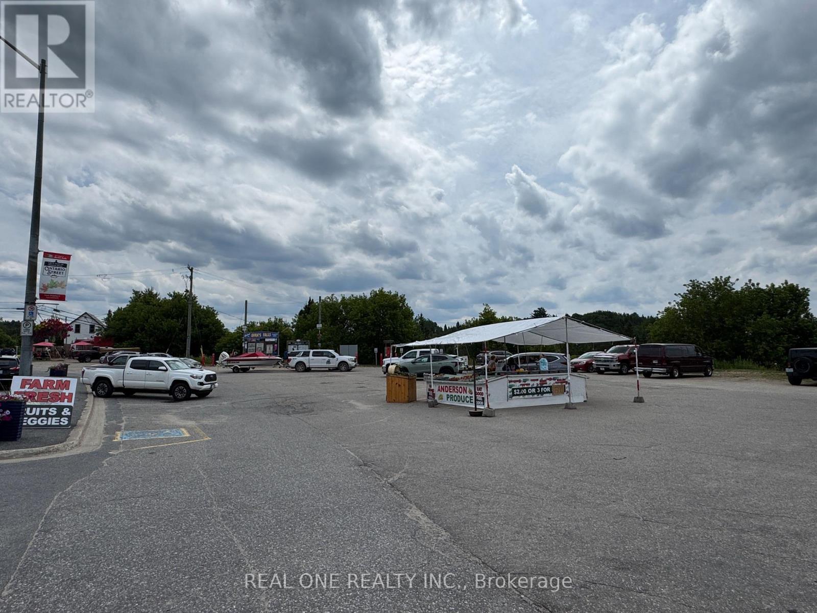 185 Ontario Street, Burk's Falls, Ontario P0A 1C0 - Photo 11 - X13626260