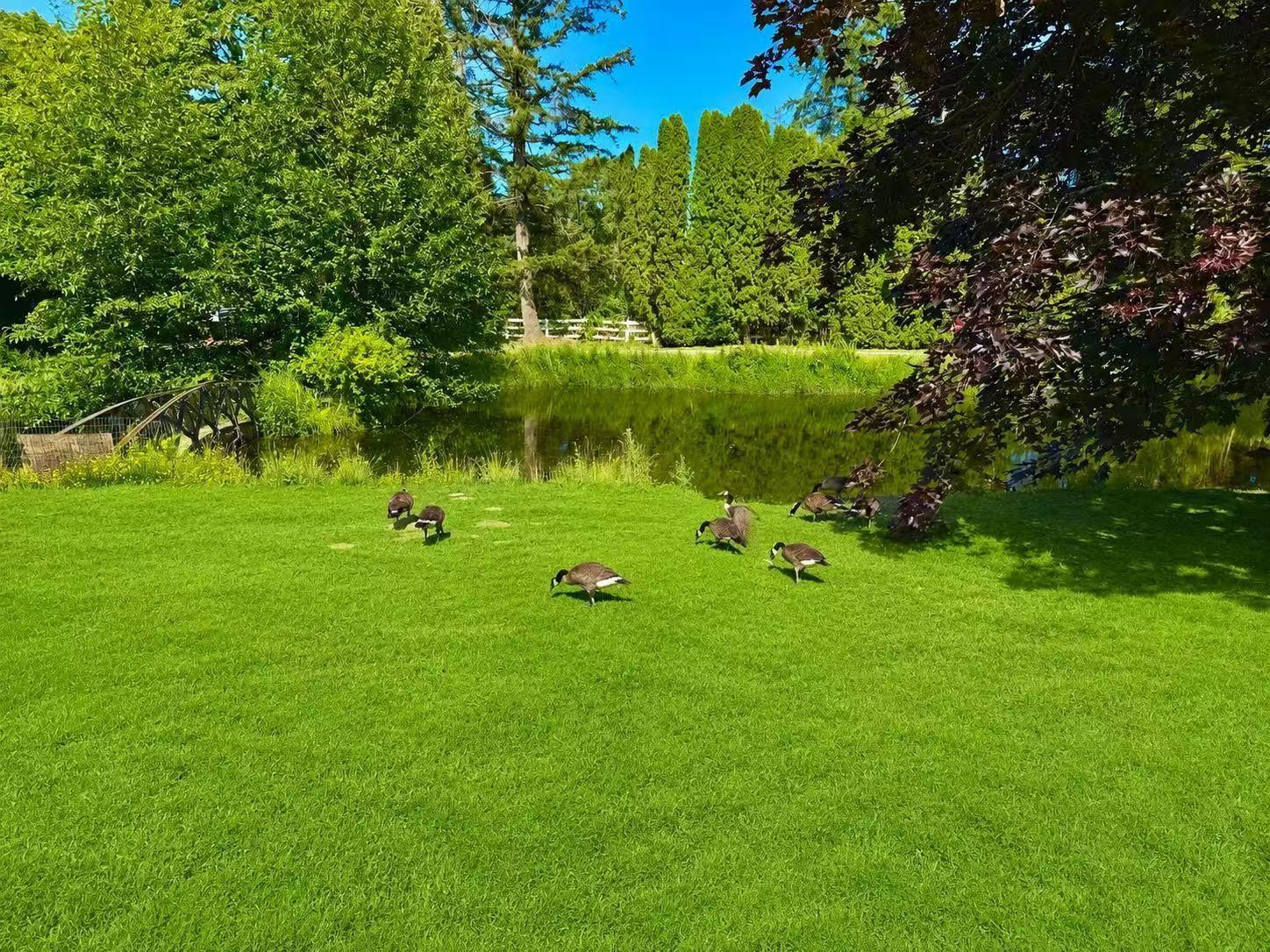 18224 32 Avenue, Surrey, British Columbia  V3Z 1C6 - Photo 34 - R3147295