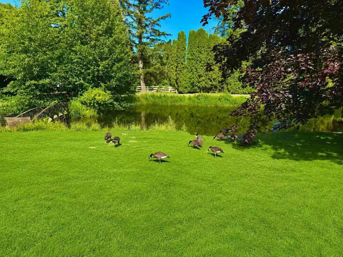 18224 32 Avenue, Surrey, British Columbia  V3Z 1C6 - Photo 32 - R3147295