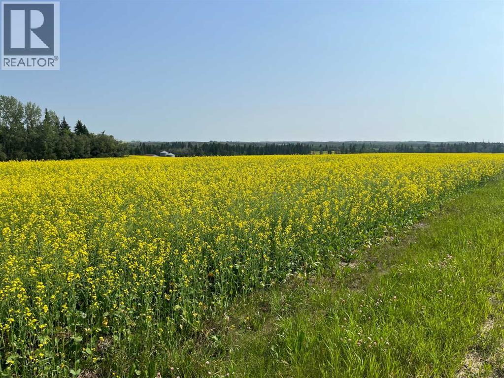 38127 Range Road 25-2, Joffre, Alberta T4L 2N2 - Photo 4 - A2332302