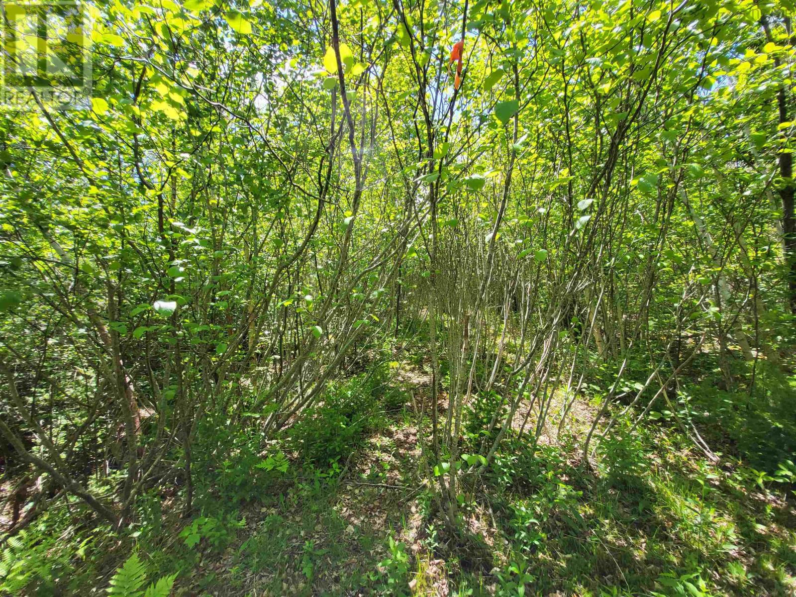 Lot C5 Everetts Way, Hunts Point, Nova Scotia  B0T 1G0 - Photo 20 - 202528234