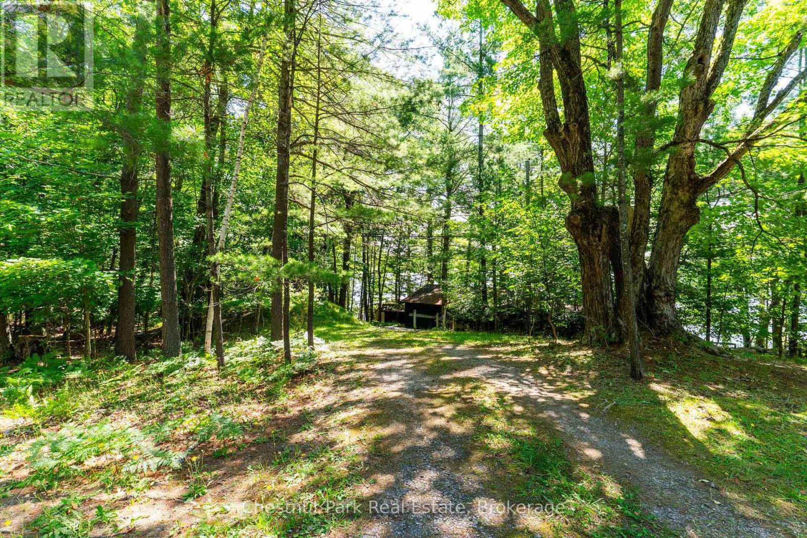 1049 Sagamo Boulevard, Muskoka Lakes, Ontario  P0B 1J0 - Photo 10 - X13595278