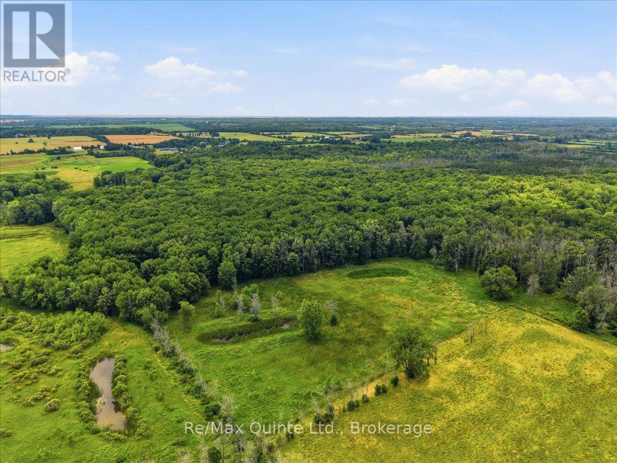 249 Carter Road, Prince Edward County, Ontario  K0K 1T0 - Photo 40 - X13625958