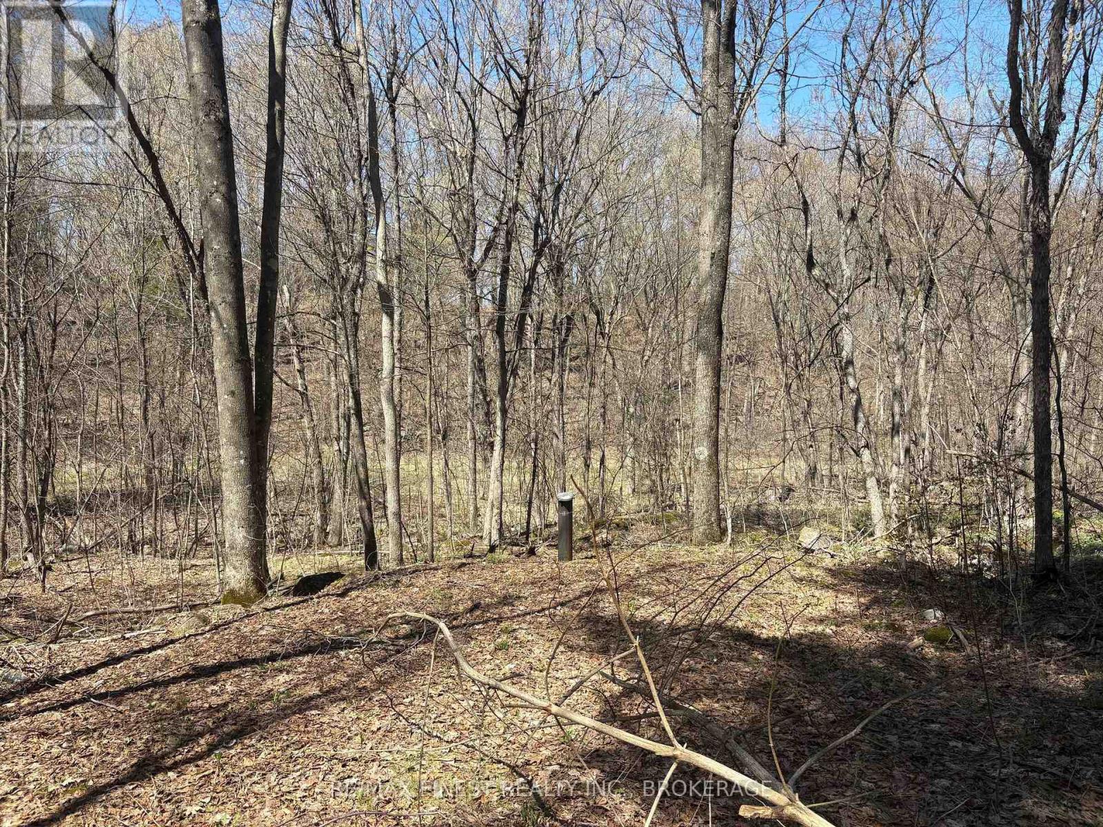Lot 1 Sweetfern Lane, Frontenac, Ontario K0H 1H0 - Photo 3 - X13626598