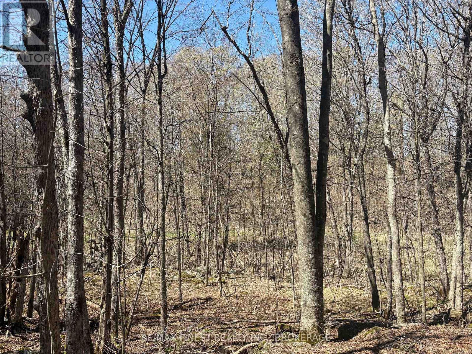 Lot 1 Sweetfern Lane, Frontenac, Ontario K0H 1H0 - Photo 4 - X13626598