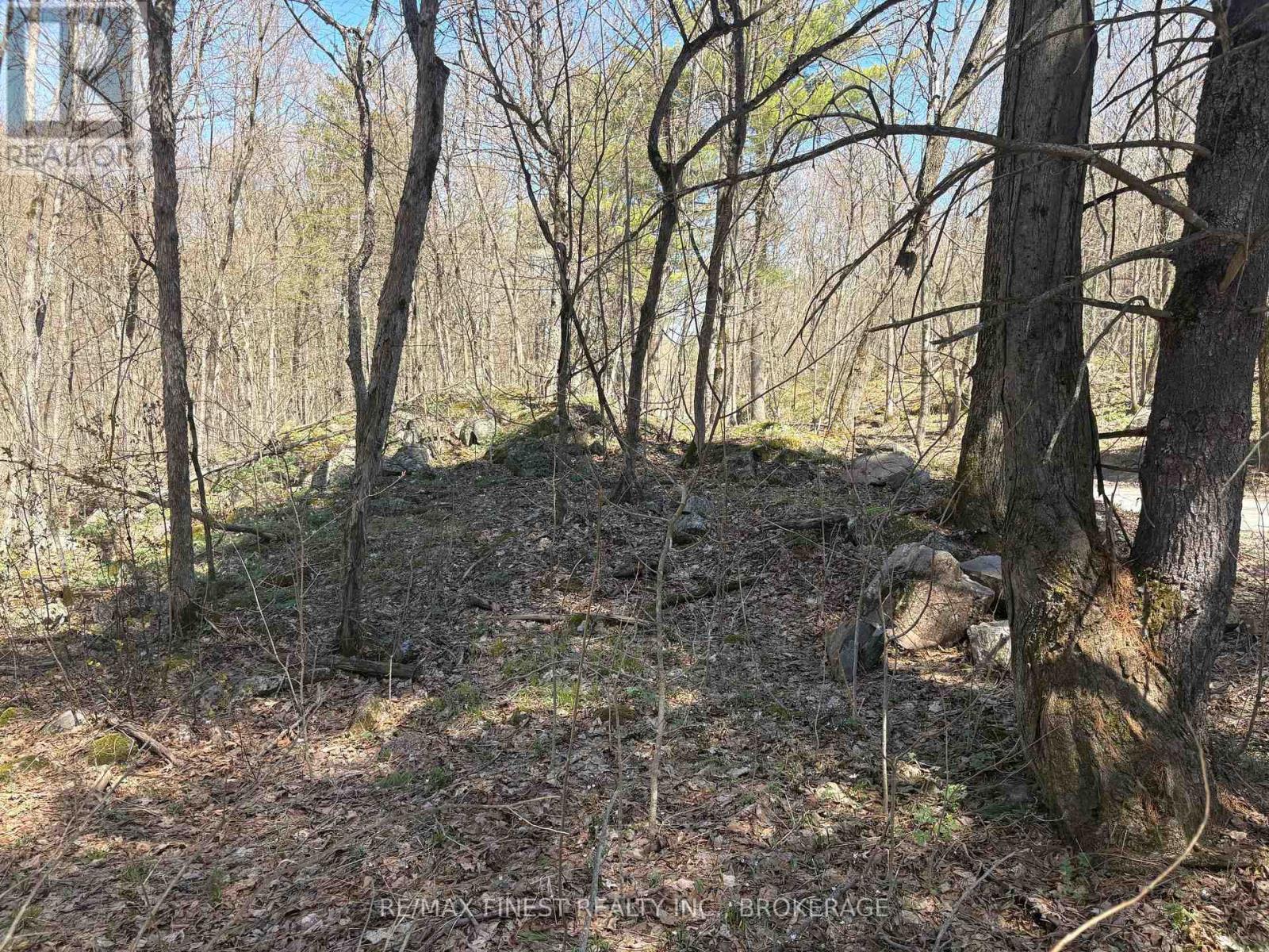 Lot 1 Sweetfern Lane, Frontenac, Ontario K0H 1H0 - Photo 5 - X13626598