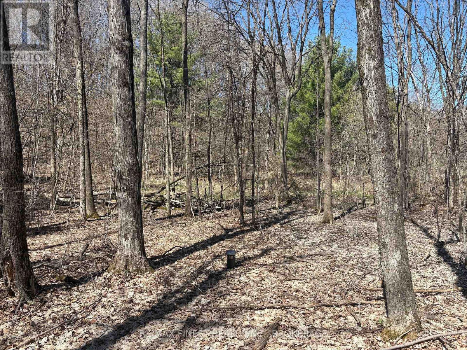 Lot 2 Sweetfern Lane, Frontenac, Ontario K0H 1H0 - Photo 3 - X13626600