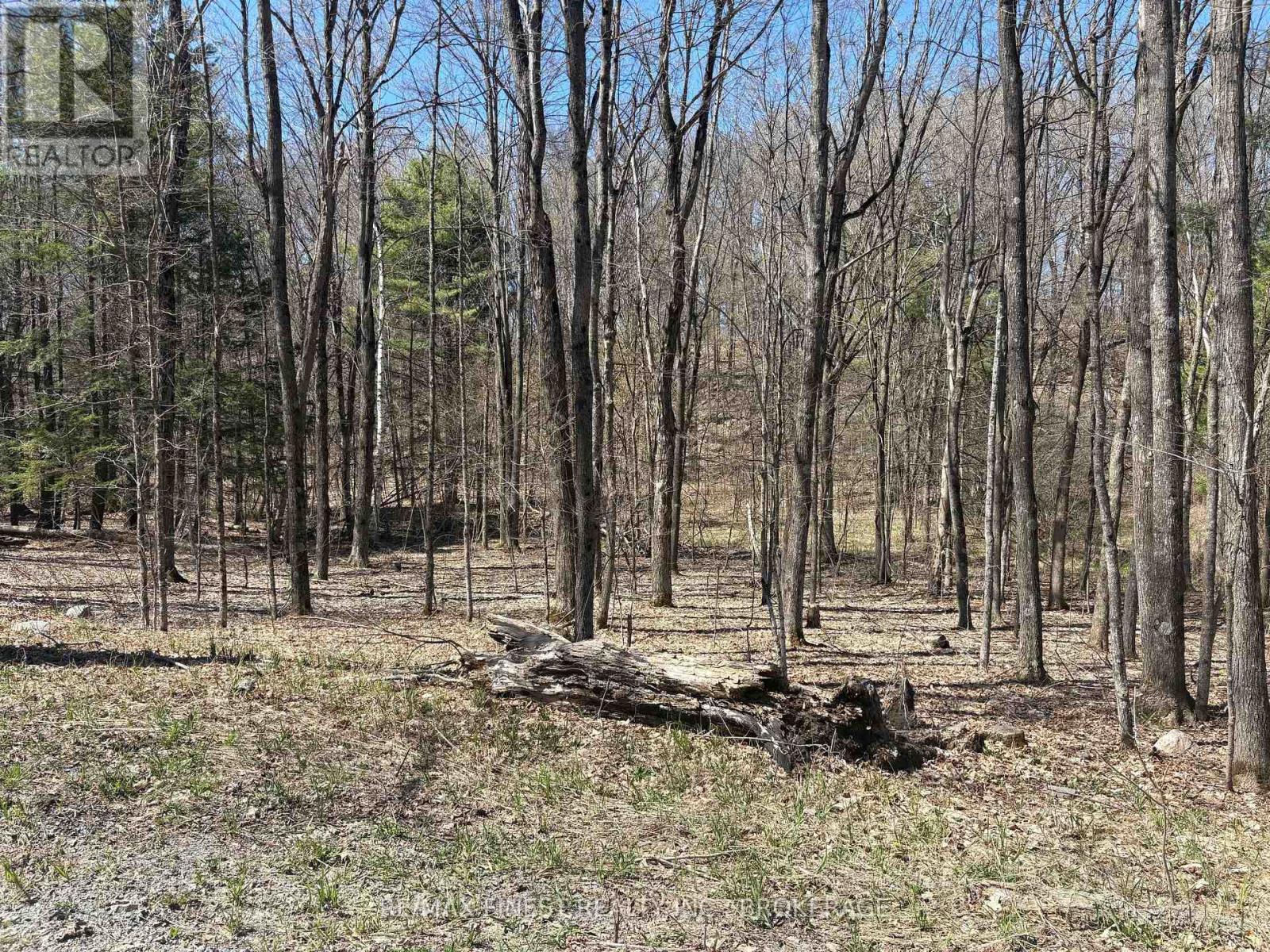 Lot 2 Sweetfern Lane, Frontenac, Ontario K0H 1H0 - Photo 4 - X13626600