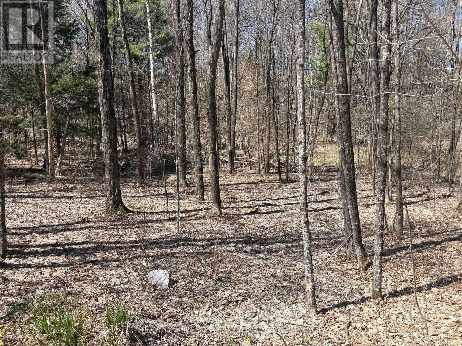 Lot 2 Sweetfern Lane, Frontenac, Ontario K0H 1H0 - Photo 5 - X13626600