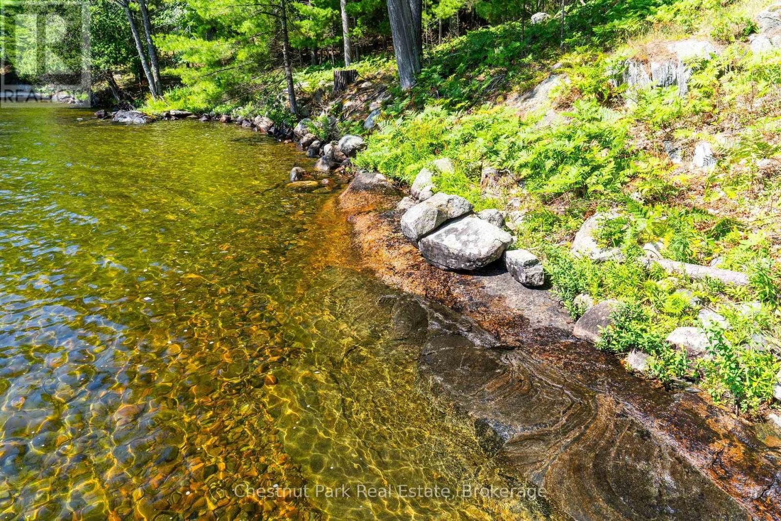 1049 Sagamo Boulevard, Muskoka Lakes, Ontario  P0B 1J0 - Photo 11 - X13595354