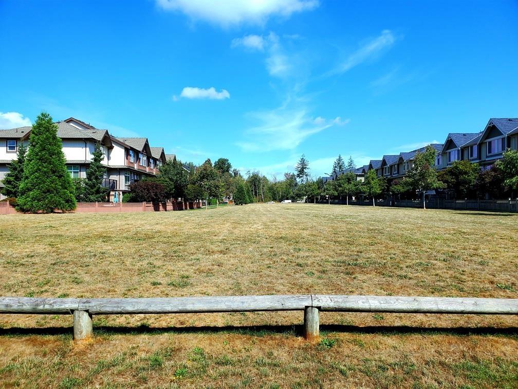 61 19477 72a Avenue, Surrey, British Columbia  V4N 6M2 - Photo 20 - R3150682