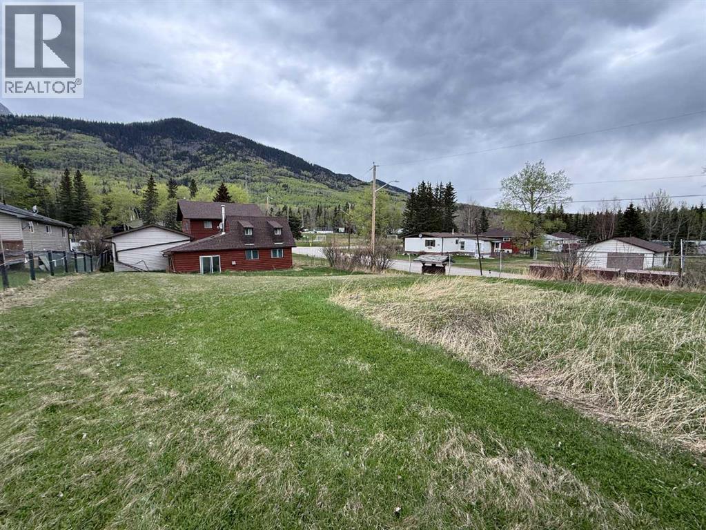 4933 Centre Street, Brule, Alberta  T7V 1Z1 - Photo 21 - A2289096