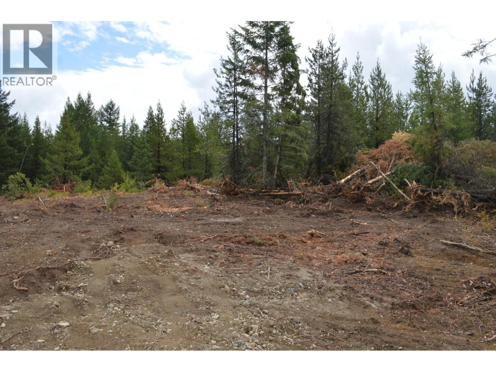 Lot 2 3 Highway, Grand Forks, British Columbia  V0H 1H5 - Photo 11 - 2478746