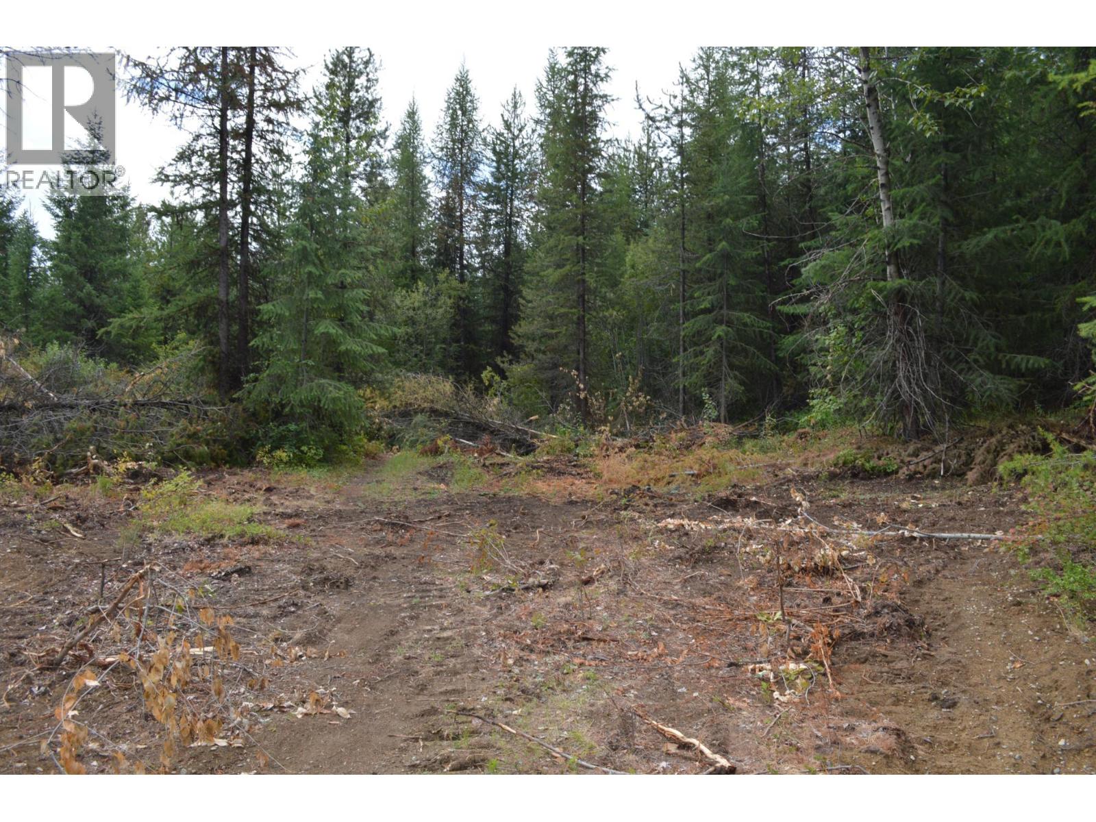 Lot 2 3 Highway, Grand Forks, British Columbia  V0H 1H5 - Photo 10 - 2478746