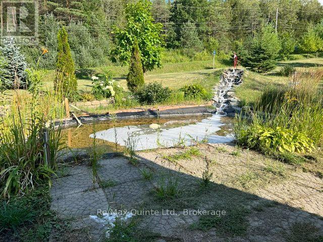 1874 Stockdale Road, Quinte West, Ontario  K0K 2C0 - Photo 6 - X13626702