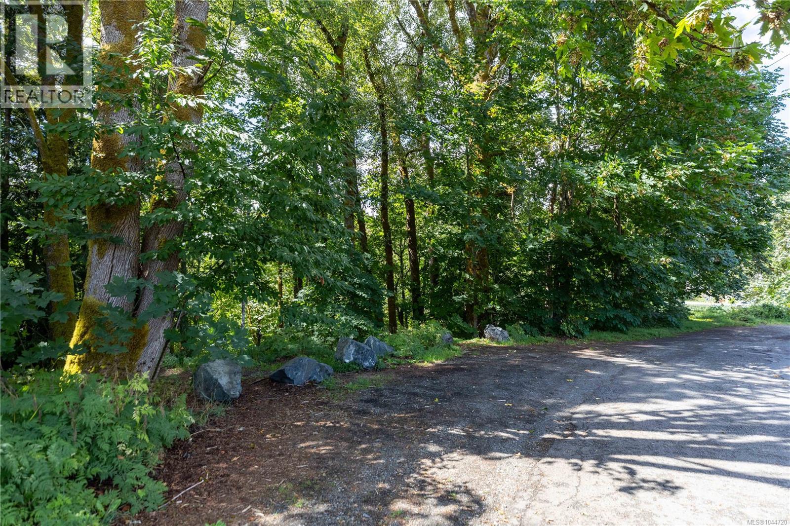 Lt B Allen Ave, Cumberland, British Columbia  V0R 1S0 - Photo 12 - 1044720