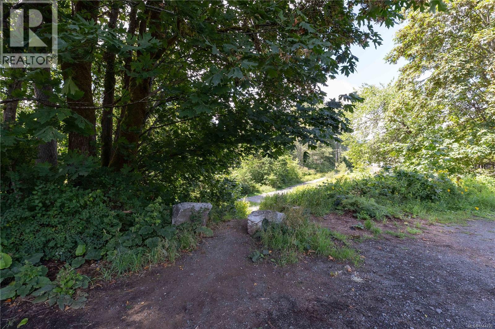 Lt B Allen Ave, Cumberland, British Columbia  V0R 1S0 - Photo 5 - 1044720