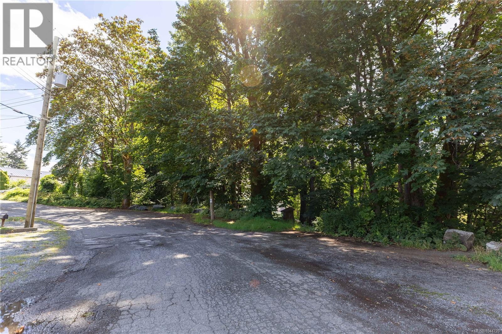 Lt B Allen Ave, Cumberland, British Columbia  V0R 1S0 - Photo 6 - 1044720