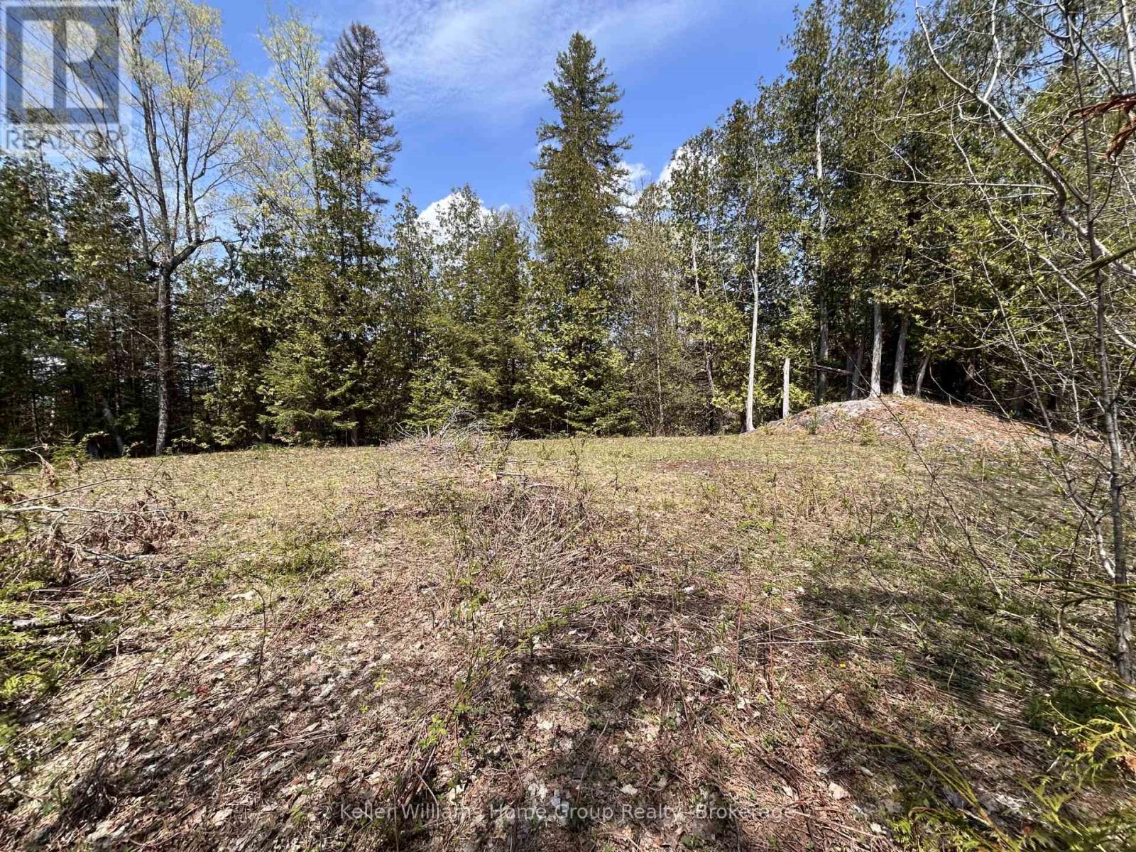 0 Highway 118, Faraday, Ontario  K0L 1C0 - Photo 13 - X13153456